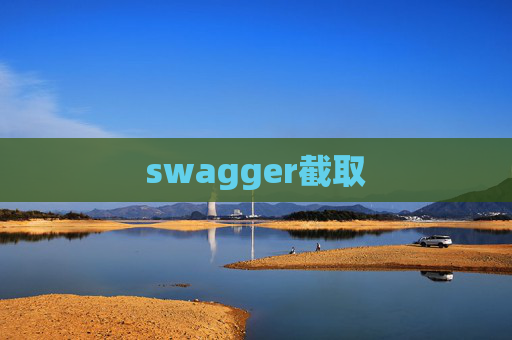 swagger截取